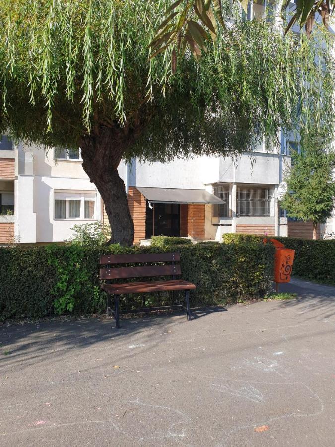 Pdn Apartment Сигишоара Екстериор снимка