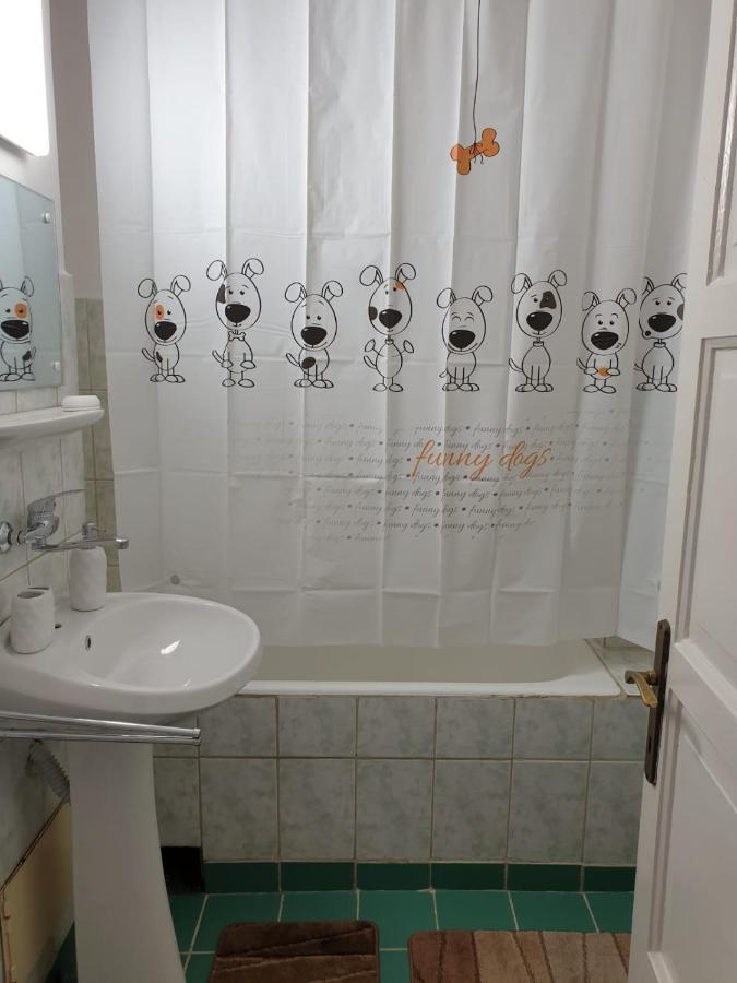 Pdn Apartment Сигишоара Екстериор снимка
